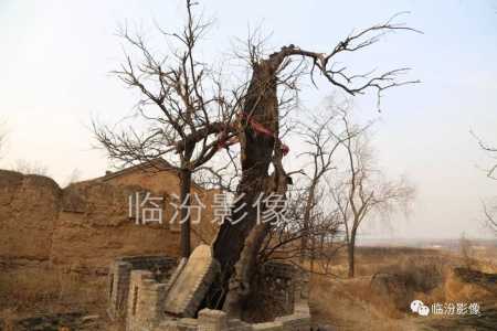 ҢŴ䡿֮صw12.jpg