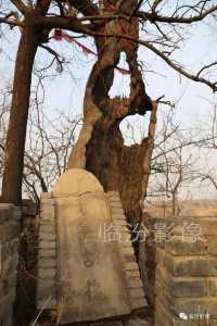 ҢŴ䡿֮صw16.jpg