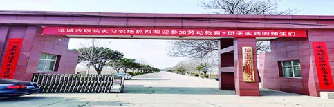 ũҵְҵ ѧԺʵϰũ.jpg