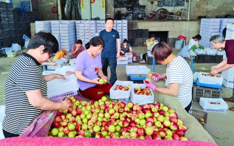 ������ũ����������.jpg