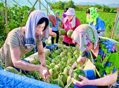ղժĹܹ.jpg