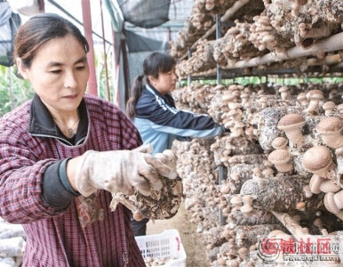 watermark,image_cGljLzIwMjEwNzAxL29zc18xNjI1MTI1MDg5NDUwXzg4NF85NTNfMjY3LnBuZw==,t_50,g_se,x_20,y_20