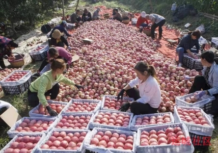 watermark,image_cGljLzIwMjEwNzAxL29zc18xNjI1MTI1MDg5NDUwXzg4NF85NTNfMjY3LnBuZw==,t_50,g_se,x_20,y_20