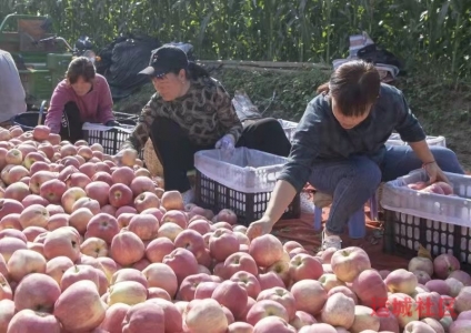 watermark,image_cGljLzIwMjEwNzAxL29zc18xNjI1MTI1MDg5NDUwXzg4NF85NTNfMjY3LnBuZw==,t_50,g_se,x_20,y_20