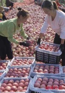 watermark,image_cGljLzIwMjEwNzAxL29zc18xNjI1MTI1MDg5NDUwXzg4NF85NTNfMjY3LnBuZw==,t_50,g_se,x_20,y_20