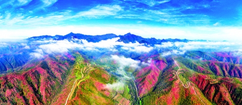 ȪҶƽ½Ȫ.jpg
