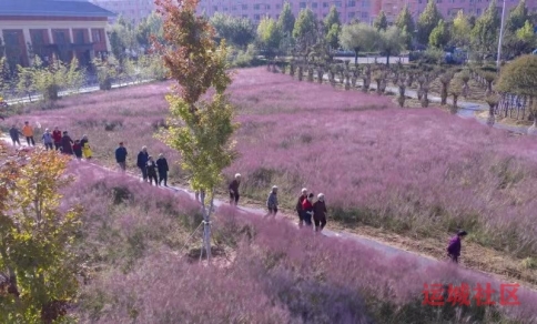 watermark,image_cGljLzIwMjEwNzAxL29zc18xNjI1MTI1MDg5NDUwXzg4NF85NTNfMjY3LnBuZw==,t_50,g_se,x_20,y_20