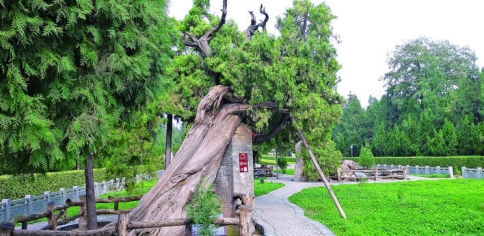 ˴�������������� �Ű�.jpg