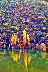 watermark,image_cGljLzIwMjEwNzAxL29zc18xNjI1MTI1MDg5NDUwXzg4NF85NTNfMjY3LnBuZw==,t_50,g_se,x_20,y_20