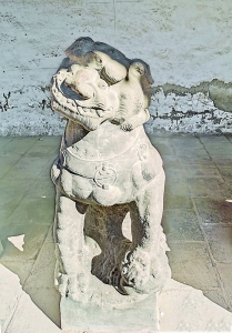 ʨ1.jpg