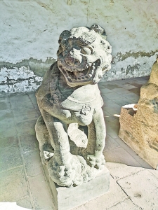 ʨ2.jpg