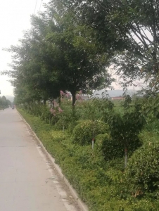 w9.jpg