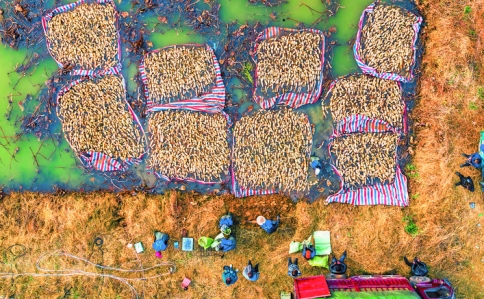 ������������ ����� ��.jpg