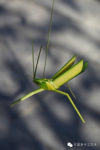 ݱСw4.jpg