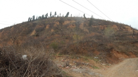 ���׹�Ĺ4.jpg
