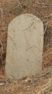 ���׹�Ĺ2.jpg