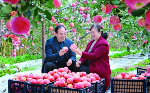 ���򱣣�����ˮ���������ز쿴��������ͼ����ƻ��.jpg