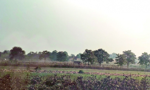 ��������ַ .jpg