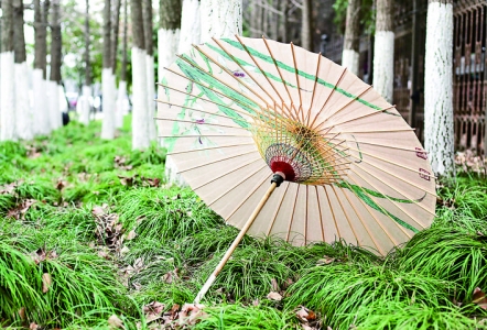 ��������������ֽɡ.jpg