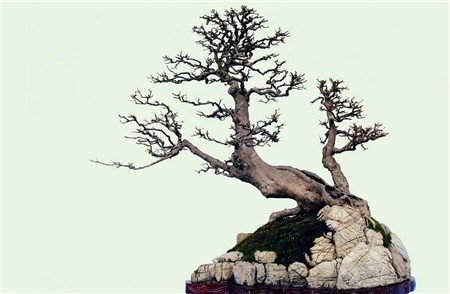 �辰.jpg