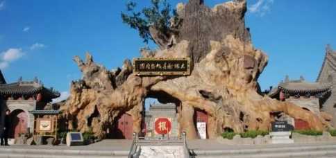 ɽ���鶴��������ֲ�w11.jpg