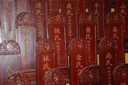 ɽ���鶴��������ֲ�w14.jpg