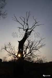 ��Ң���Ŵ��䡿֮�ص����������w18.jpg