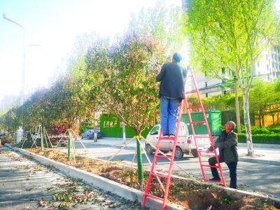 ������Ա�޼���Ҷʯ���.jpg