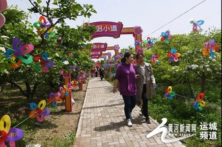 ��ϲ�ص�����ɽ髻����ڹ���ׯ�������´����.jpg