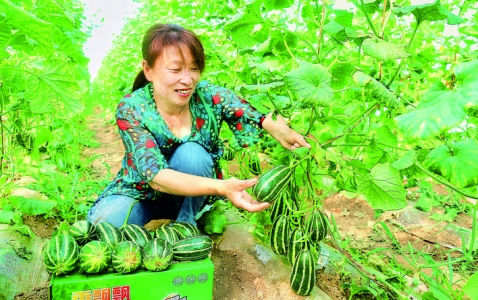 ������Һ���ҤȪ�������Ƽ�ڸ����̲�ժ���.jpg
