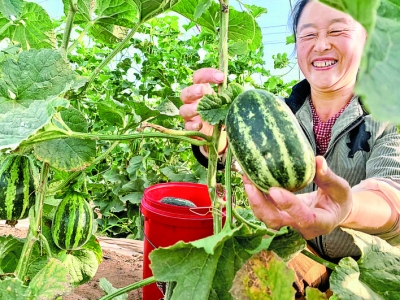 �����췼�ڲ�ժ���.jpg