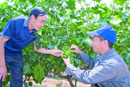 �����ض��շ�干����Ա����ΰ�����ڰ�������ΰ�ܵ�����԰ָ�����.jpg
