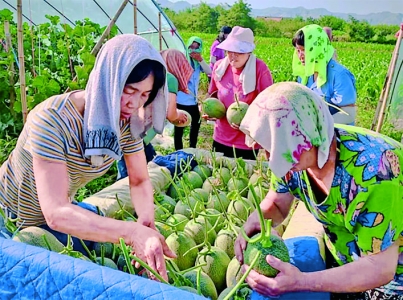 ��ũ�ڲ�ժ���ܹ�.jpg