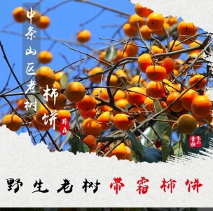 ����ɽ������������.jpg
