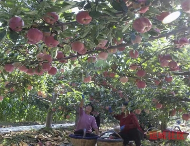 watermark,image_cGljLzIwMjEwNzAxL29zc18xNjI1MTI1MDg5NDUwXzg4NF85NTNfMjY3LnBuZw==,t_50,g_se,x_20,y_20