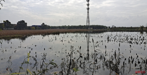 watermark,image_cGljLzIwMjEwNzAxL29zc18xNjI1MTI1MDg5NDUwXzg4NF85NTNfMjY3LnBuZw==,t_50,g_se,x_20,y_20