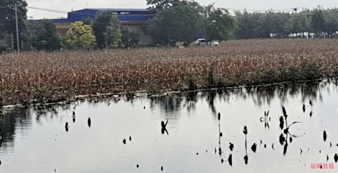 watermark,image_cGljLzIwMjEwNzAxL29zc18xNjI1MTI1MDg5NDUwXzg4NF85NTNfMjY3LnBuZw==,t_50,g_se,x_20,y_20