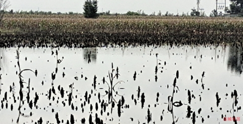 watermark,image_cGljLzIwMjEwNzAxL29zc18xNjI1MTI1MDg5NDUwXzg4NF85NTNfMjY3LnBuZw==,t_50,g_se,x_20,y_20