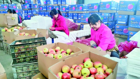 ƽ½�ؽ�ͯ��ҵרҵ�����繤����Ա��ƻ��װ�� �յ�Ф.jpg