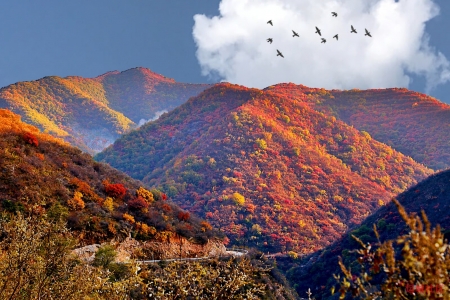 watermark,image_cGljLzIwMjEwNzAxL29zc18xNjI1MTI1MDg5NDUwXzg4NF85NTNfMjY3LnBuZw==,t_50,g_se,x_20,y_20