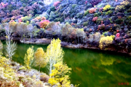 watermark,image_cGljLzIwMjEwNzAxL29zc18xNjI1MTI1MDg5NDUwXzg4NF85NTNfMjY3LnBuZw==,t_50,g_se,x_20,y_20