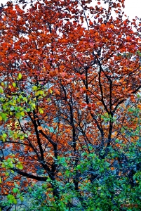 watermark,image_cGljLzIwMjEwNzAxL29zc18xNjI1MTI1MDg5NDUwXzg4NF85NTNfMjY3LnBuZw==,t_50,g_se,x_20,y_20