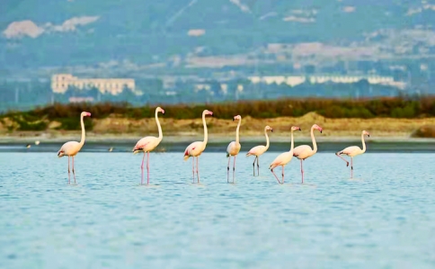 �κ��ˡ����� .jpg