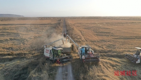 watermark,image_cGljLzIwMjEwNzAxL29zc18xNjI1MTI1MDg5NDUwXzg4NF85NTNfMjY3LnBuZw==,t_50,g_se,x_20,y_20