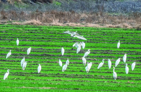 ��ʳ ʪ����̬�������续������Խ��ů�紺.jpg