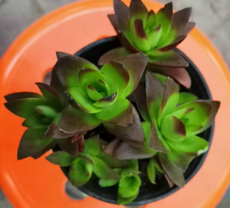 ΢��ͼƬ_20201130203743.png