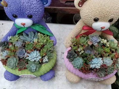 ����԰���Ż����г��췫���ܶ���.jpg