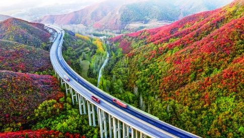 ��ɽ��Ҷ �� �� ��.jpg