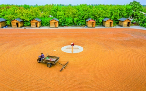 �ᡱ֮���� ��ѩƽ ��.jpg