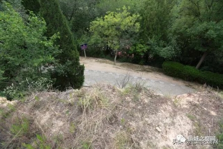���˳���ɢ�������˳�����,���ﾹȻ���и�ǧ��ų���ַ!�쿴������?(��ͼ)w13.jpg
